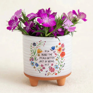 Artisan Terracotta Planter - World Better (Mini)
