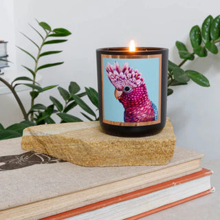 Australian Artist Soy Candle - Desert Lime 50+hrs