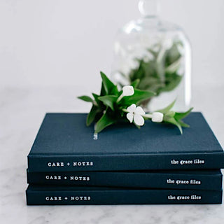 Stack of books titled 'Care + Notes' and 'The Grace Files' with a decorative plant on a light background