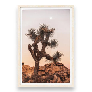 Desert Dunes Framed Glass Print (43x63)
