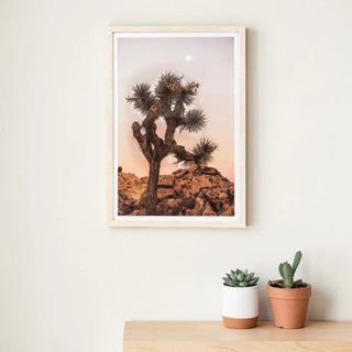 Framed artwork of a Joshua tree on a wall above two potted plants.