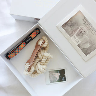 Pet memorial box with a rope toy, treat container, and photo album on a white surface.